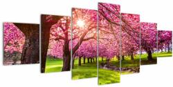 Mivali Tablou - Cireși înfloriți, Hurd Park, Dover, New Jersey, din șapte bucăți 210x100 cm (V022582V210100)