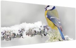 Mivali Tablou - Pițigoi, dintr-o bucată 120x50 cm (V023867V12050)