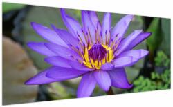 Mivali Tablou - Floare violet, dintr-o bucată 200x100 cm (V022431V200100)