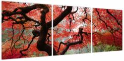 Mivali Tablou - Arțarul japonez roșu, Portland, Oregon, din trei bucăți 120x40 cm (V023677V12040)