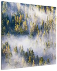 Mivali Tablou - Copac în ceață, dintr-o bucată 70x70 cm (V023148V7070)