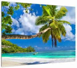 Mivali Tablou pe sticlă - Seychelles, dintr-o bucată 70x50 cm pe sticlă (V023298V7050GD)