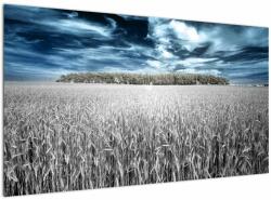 Mivali Tablou cu câmp, dintr-o bucată 120x70 cm (V022278V12070)