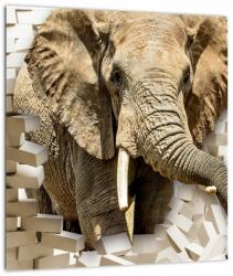 Mivali Tablou pe sticlă - Elefant spârgând peretele, dintr-o bucată 30x30 cm pe sticlă (V022794V3030GD)