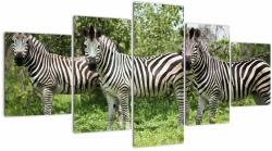 Mivali Tablou cu zebre, din cinci bucăți 150x80 cm (V020921V150805PCS)