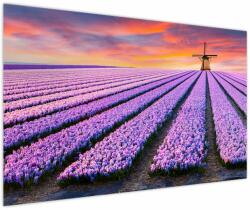 Mivali Tablou - ferma cu flori, dintr-o bucată 150x100 cm (V020533V150100)