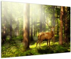 Mivali Tablou cu cerbul în pădure, dintr-o bucată 90x60 cm (V021263V9060)