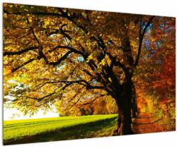 Mivali Tablou cu copac toamna, dintr-o bucată 90x60 cm (V020838V9060)