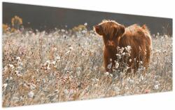 Mivali Tablou - Vacă scoțiană, dintr-o bucată 120x50 cm (V024013V12050)