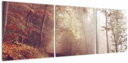 Mivali Tablou - Plimbarea de toamnă prin pădure, din trei bucăți 120x40 cm (V021653V12040)