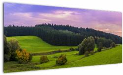 Mivali Tablou cu lunca, dintr-o bucată 100x40 cm (V020343V10040)