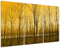 Mivali Tablou cu pădure în apus de soare, din trei bucăți 120x80 cm (V020905V120803PCS)