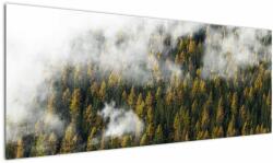Mivali Tablou - Pădure în nori, dintr-o bucată 145x58 cm (V022666V14558)
