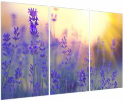 Mivali Tablou - Levănțică, din trei bucăți 120x80 cm (V023928V120803PCS)