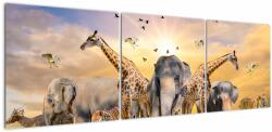 Mivali Tablou - Animae din Africa, din trei bucăți 150x50 cm (V022143V15050)