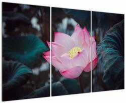 Mivali Tablou cu floare roz, din trei bucăți 120x80 cm (V020420V120803PCS)