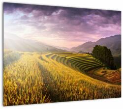 Mivali Tablou pe sticlă peisajului, dintr-o bucată 70x50 cm pe sticlă (V022051V7050GD)