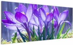 Mivali Tablou cuflori în ploaie, dintr-o bucată 120x50 cm (V020707V12050)