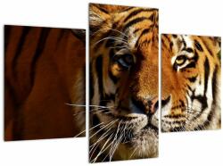Mivali Tablou cu tigrul, din trei bucăți 90x60 cm (V021272V90603PCS)