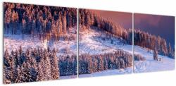 Mivali Tablou - Peisaj de iarnă, din trei bucăți 150x50 cm (V023219V15050)