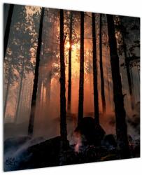 Mivali Tablou cu pădure întunecată, dintr-o bucată 70x70 cm (V020379V7070)
