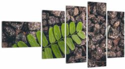 Mivali Tablou cu planta verde, din cinci bucăți 110x60 cm (V020371V11060)