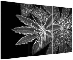 Mivali Tablou - Frunze cu picături, din trei bucăți 120x80 cm (V023734V120803PCS)