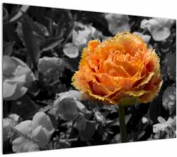 Mivali Tablou cu floare, dintr-o bucată 100x70 cm (V021950V10070)