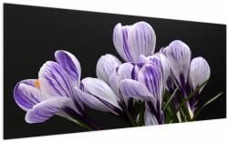 Mivali Tablou - Crocus violet, dintr-o bucată 200x100 cm (V022589V200100)