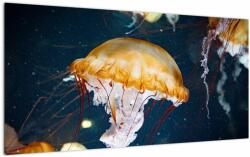 Mivali Tablou pe sticlă - Medusa, dintr-o bucată 100x50 cm pe sticlă (V021588V10050GD)
