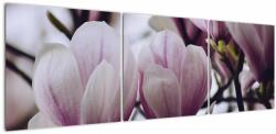 Mivali Tablou - Magnolie, din trei bucăți 150x50 cm (V021544V15050)