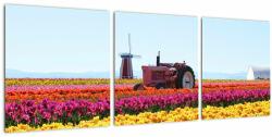 Mivali Tablou cu farma de lalele, din trei bucăți 90x30 cm (V021542V9030)