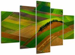 Mivali Tablou - Lan, luncile, din cinci bucăți 150x105 cm (V021310V150105)