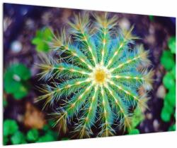 Mivali Tablou cu cactus, dintr-o bucată 90x60 cm (V020556V9060)