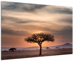 Mivali Tablou apusului de soare în Tanzania, dintr-o bucată 90x60 cm (V021578V9060)