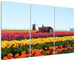 Mivali Tablou cu farma de lalele, din trei bucăți 120x80 cm (V021542V120803PCS)