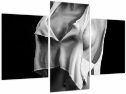 Mivali Tablou - Nud feminin, din trei bucăți 90x60 cm (V024029V90603PCS)