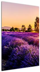 Mivali Tablou cu câmp de lavanda, dintr-o bucată 60x90 cm (V020540V6090)