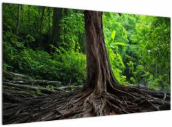 Mivali Tablou - Copac bătrîn cu rădăcini, dintr-o bucată 120x70 cm (V022463V12070)