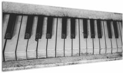 Mivali Tablou - Pian, dintr-o bucată 145x58 cm (V022731V14558)