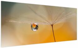 Mivali Tablou - Flori macro, dintr-o bucată 200x100 cm (V023889V200100)