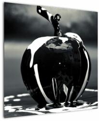 Mivali Tablou cu mărul negru, dintr-o bucată 70x70 cm (V021233V7070)