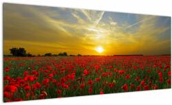 Mivali Tablou cu câmp cu maci, dintr-o bucată 100x40 cm (V020986V10040)