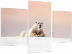 Mivali Tablou - Urs polar, din trei bucăți 90x60 cm (V023979V90603PCS)