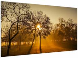Mivali Tablou cu răsăsrit de soare, dintr-o bucată 120x70 cm (V020257V12070)