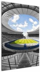 Mivali Tablou - stadionul de fodbal, dintr-o bucată 60x90 cm (V020597V6090)