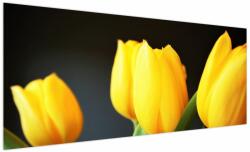 Mivali Tablou cu lalele, dintr-o bucată 250x125 cm (V020187V250125)