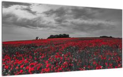 Mivali Tablou pe sticlă cu maci, dintr-o bucată 100x50 cm pe sticlă (V020987V10050GD)