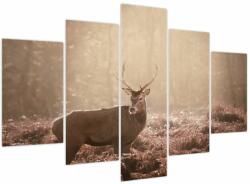 Mivali Tablou - Cerb în pădure, din cinci bucăți 150x105 cm (V023738V150105)