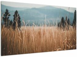 Mivali Tablou - detaliu spațiului de luncă, dintr-o bucată 120x70 cm (V020178V12070)